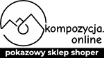 Shoper demo brak logo - strona główna